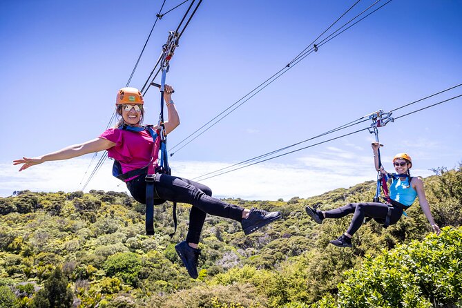 Waiheke Island Day Tour: Ziplining, Wine Tasting & Vineyard Lunch - Key points before you book