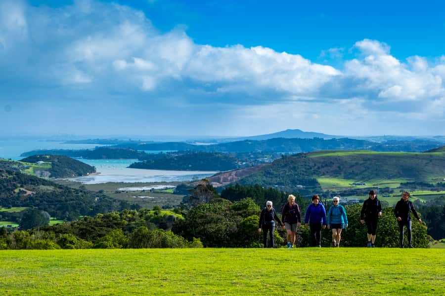 Waiheke Island: Premium Vineyard, Wine Tasting and Bush Walk - From Auckland ferry to Waiheke’s Matiatia terminal