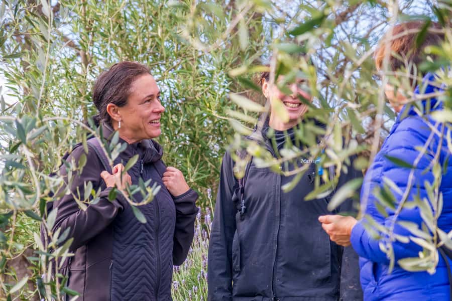 Waiheke Island: Premium Vineyard, Wine Tasting and Bush Walk - Walking Atawhai Whenua Forest and Bird Reserve