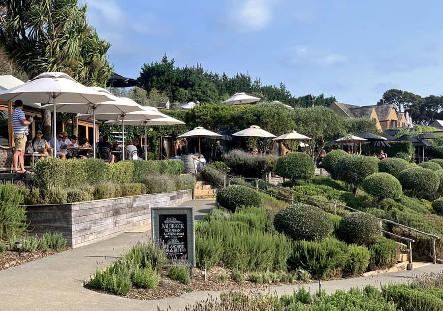 Waiheke Island: Premium Vineyard, Wine Tasting and Bush Walk - FAQ