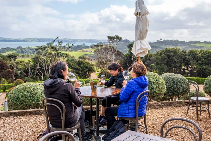 Waiheke Island: Premium Vineyard, Wine Tasting and Bush Walk - Rolling hills between forest and vineyards