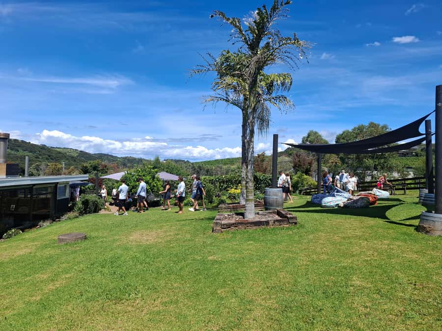Waiheke Island: Sip and Savor 3 Vineyards Tour with Lunch - Second vineyard: the strongest food-pairing stop