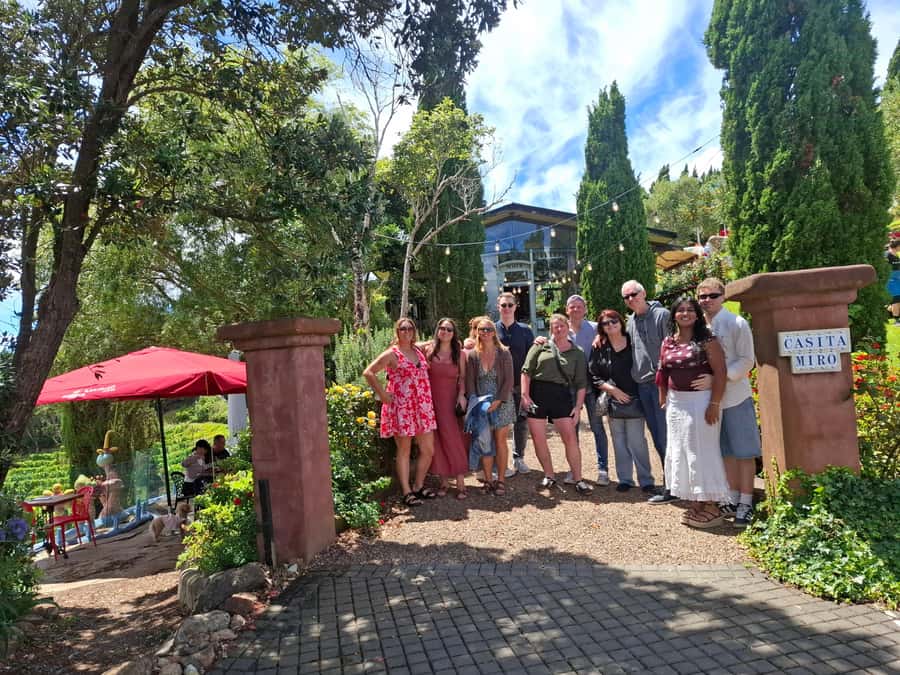 Waiheke Island: Sip and Savor 3 Vineyards Tour with Lunch - Group size, guides, and the feel of the day