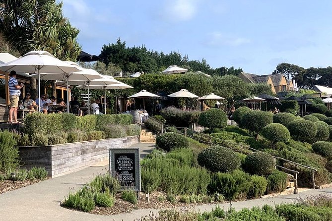 Waiheke Island Vineyards and Bush Walk - Why this Waiheke walk feels different from a standard wine tour