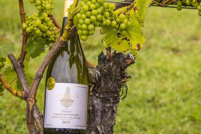 Waiheke Island Vineyards and Bush Walk - The guides are a major part of the experience