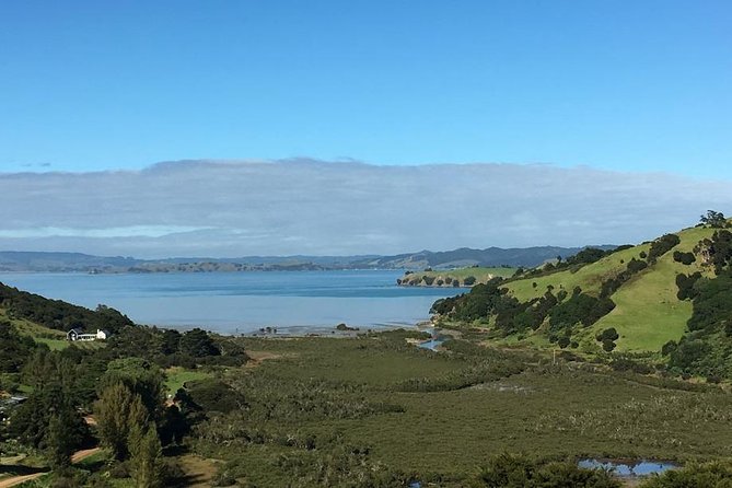 Waiheke Island Vineyards and Bush Walk - Price and what the $279.26 covers