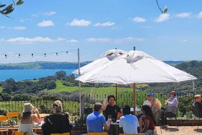 Waiheke Island Wine Tour with Scenic Vineyards & Tastings
