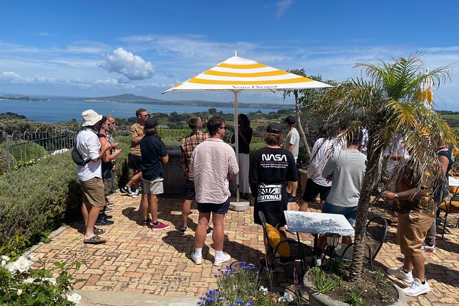 Waiheke Island Wine Tour with Scenic Vineyards & Tastings - The vintage double-decker route: shorter and more scenic
