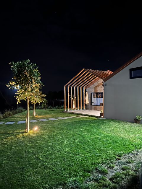 Walk among the rows of vineyards and wine tasting - Key points to know before booking