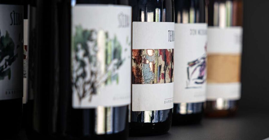 Walk among the rows of vineyards and wine tasting - A Sicilian winery visit with food at its center
