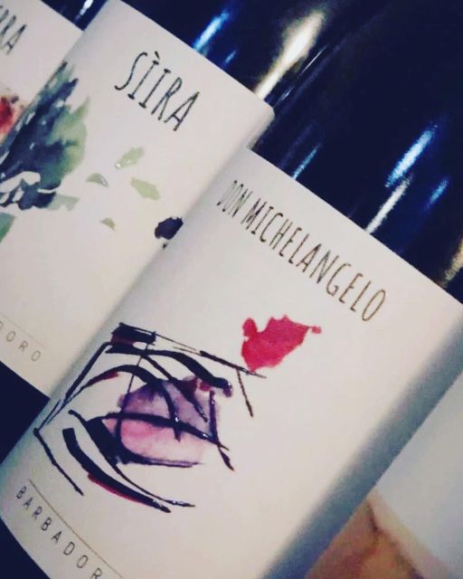Walk among the rows of vineyards and wine tasting - Walking the organic vineyards