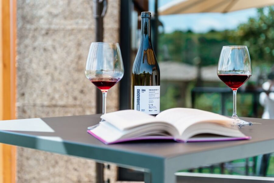 Walk among the rows of vineyards and wine tasting - Sicilian food that makes the tasting feel like lunch