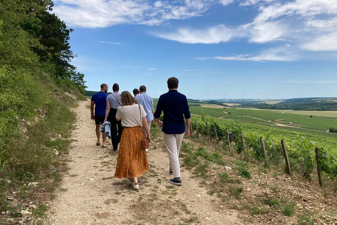 Walk in the vineyards of Chablis Grands Crus - Walking through the Chablis Grand Cru vineyards