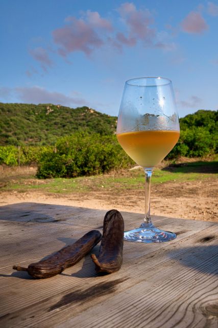 Walk through our vineyard and aperitif - Under the old carob tree for the tasting
