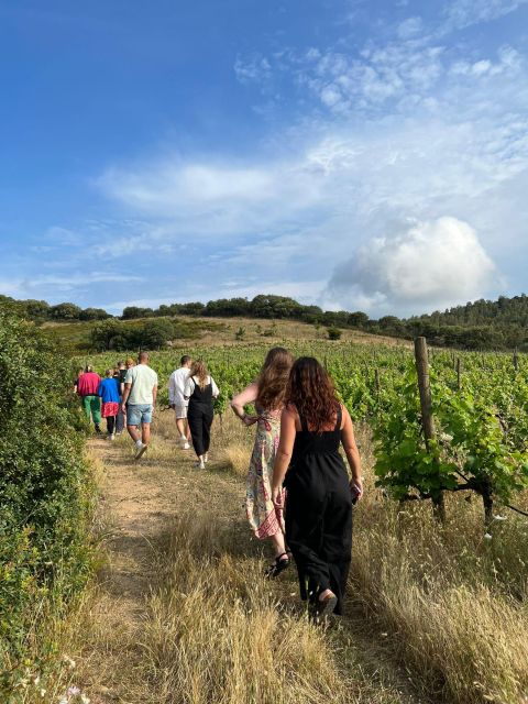 Walk through our vineyard and aperitif - Walking among Cannonau and Vermentino vines