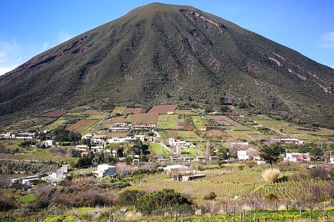Walk through vineyards, breathtaking views and flavors of Salina - Walking through vineyards and rural Salina