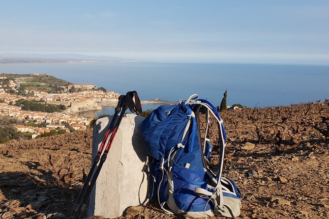Walks in the heart of the secret vineyards around Collioure, tastings - Why Collioure’s vineyards are worth the climb