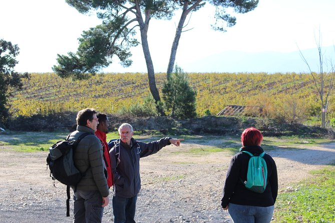 Walks in the heart of the secret vineyards around Collioure, tastings - The route from Place du 8 Mai 1945