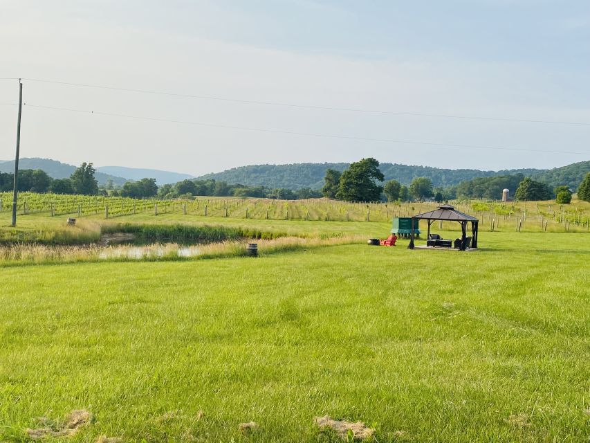 Washington, DC: Virginia Wine Region Experience Tour - Key points to know before booking