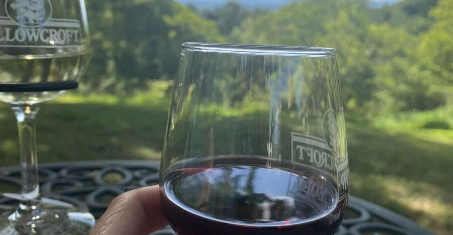 Washington, DC: Virginia Wine Region Experience Tour - Starting with pickup from your hotel or Dulles