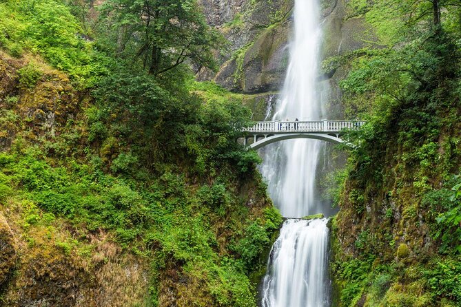 Waterfalls & Wine Tour-Multnomah Falls,Vineyards,Hood River Combo - Why this Portland day trip works