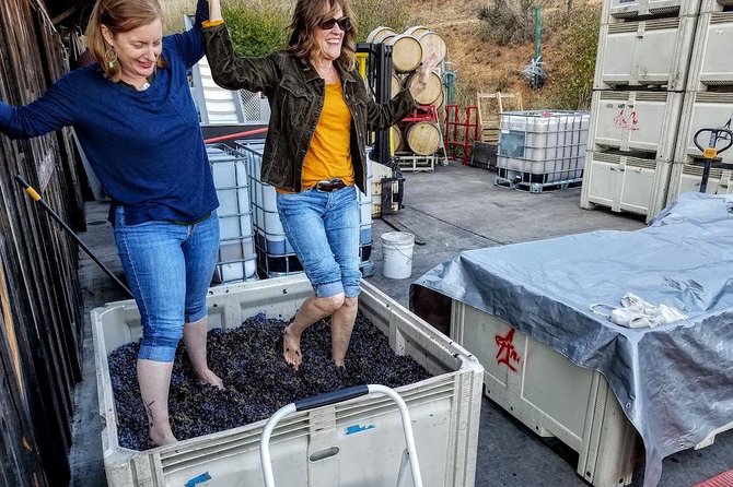 Waterfalls & Wine Tour-Multnomah Falls,Vineyards,Hood River Combo - Weather, walking, and what to bring