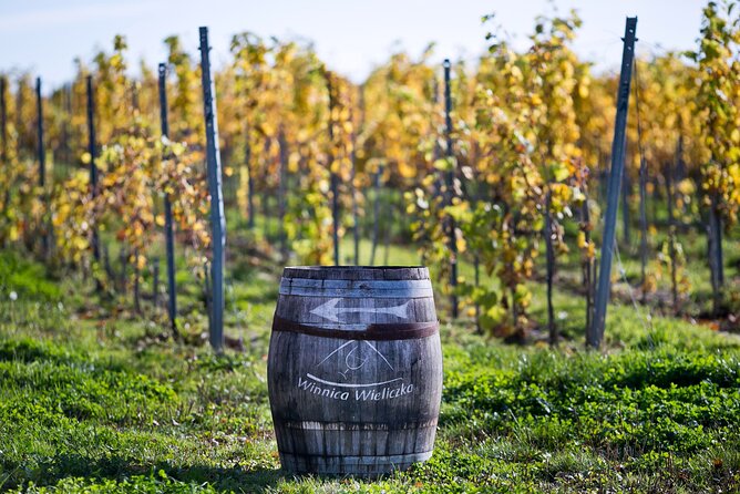 Wieliczka Vineyard: Wine tasting with local snacks - A vineyard visit close to Krakow, but not in the city