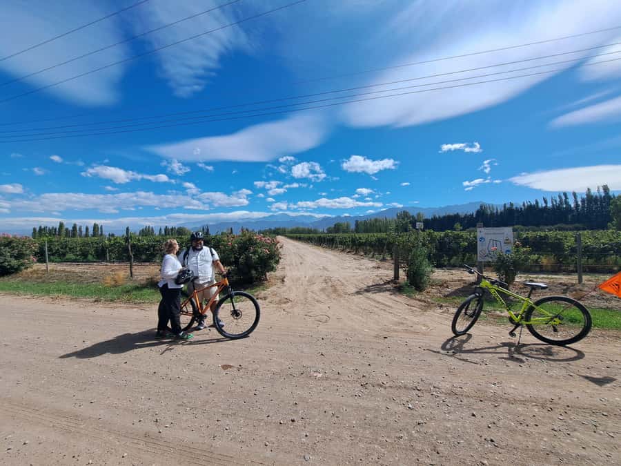 Wine and Chocolate Bike Tour: ride, taste, lunch, vineyards. - Finca Bandini and the story behind the first glass