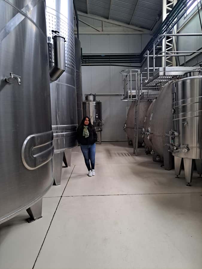 Wine and Chocolate Bike Tour: ride, taste, lunch, vineyards. - Lamadrid Estate Wines and the long lunch