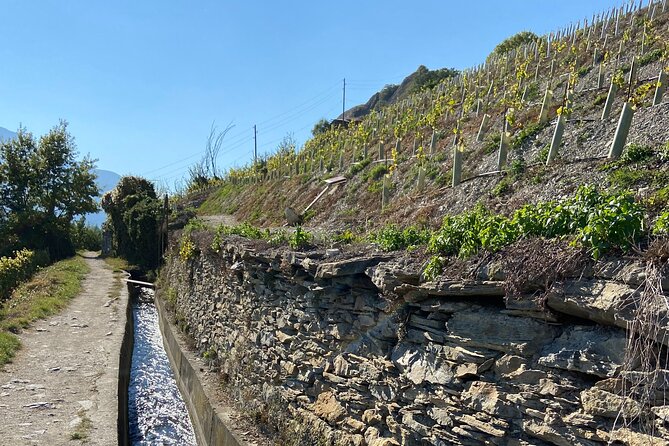 Wine and Dine Vineyard Walk in Sion - Why Sion is the right setting for a wine day