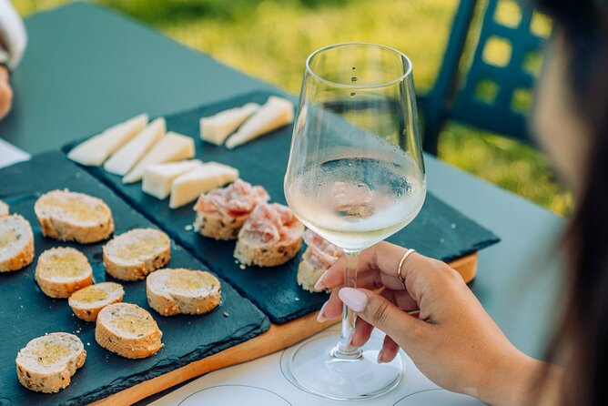 Wine and Food Tasting in the Vineyards in Lazise - A vineyard tasting near Lazise, not a formal winery tour