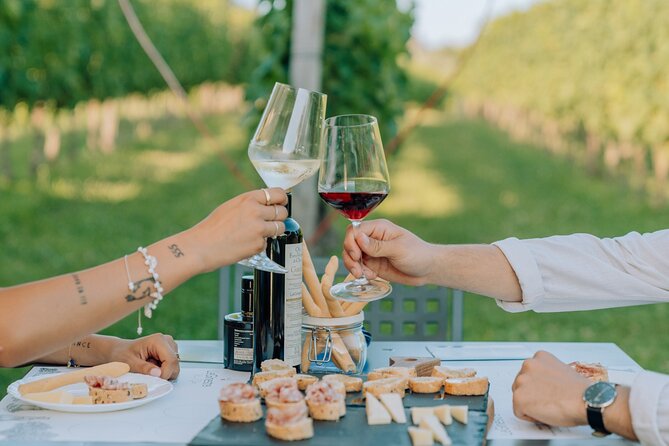 Wine and Food Tasting in the Vineyards in Lazise - Sitting among the vines