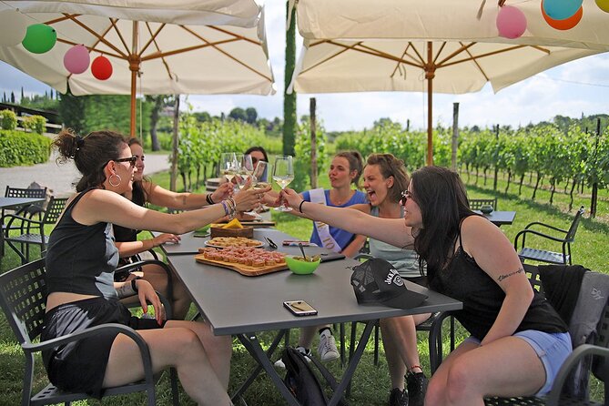 Wine and Food Tasting in the Vineyards in Lazise - How to get there from Lazise