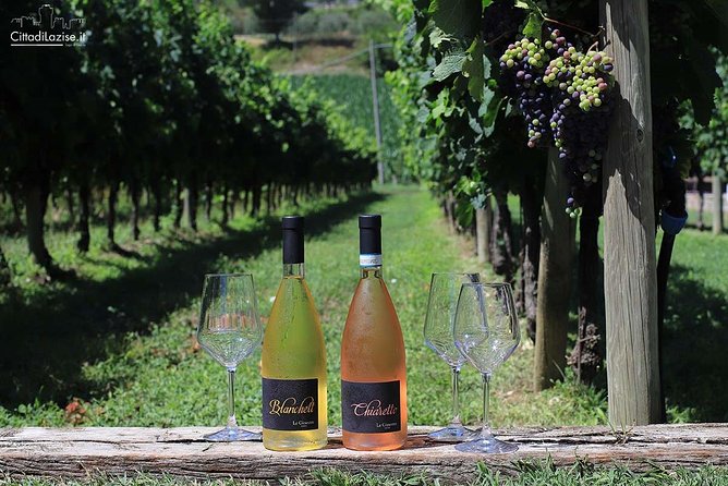 Wine and Food Tasting in the Vineyards in Lazise - Is $50.81 good value?