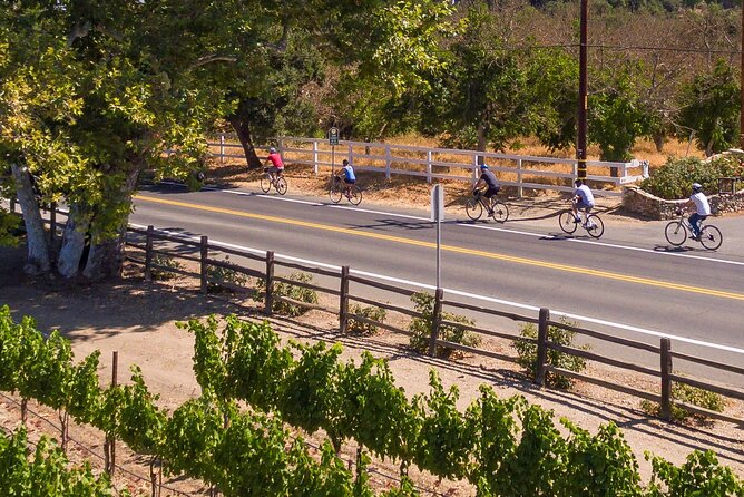 Wine Country E-Bike Guided Tour - w/o Lunch - Starting in Solvang and reaching Los Olivos