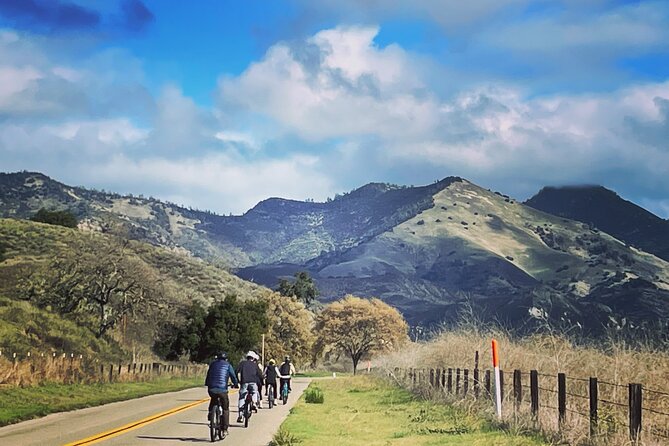 Wine Country E-Bike Guided Tour - w/o Lunch - Olive Hill Farm brings food into the picture