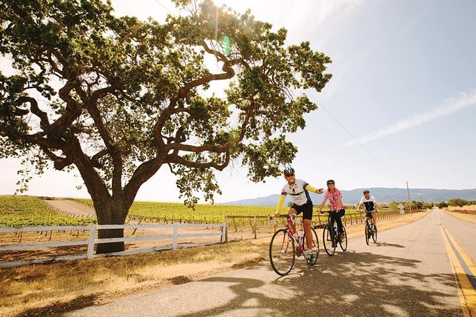 Wine Country Farm to Table Bike Tour w/Lunch - Key points to know before you book