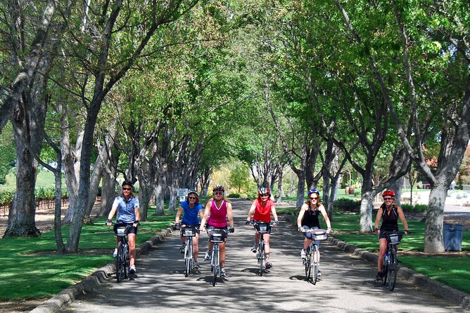 Wine Country Farm to Table Bike Tour w/Lunch - Which guide style fits your group