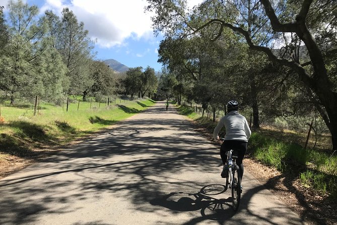 Wine Country Half-Day Bike Tour from Solvang - w/o Lunch - Key points to know before you ride