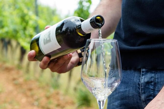 Wine Experience in farm vineyard & winery from Montecatini T. - The Fattoria Il Poggio setting