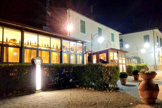 Wine Experience in farm vineyard & winery from Montecatini T. - Who should book this outing?