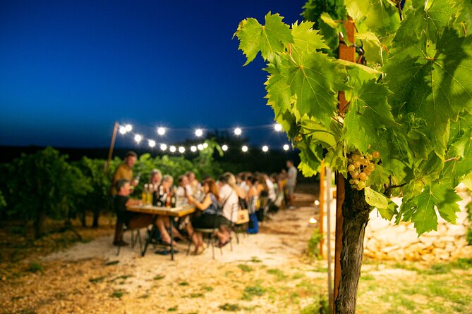 Wine Experience: vineyard, wines and food - A vineyard evening in the Itria Valley