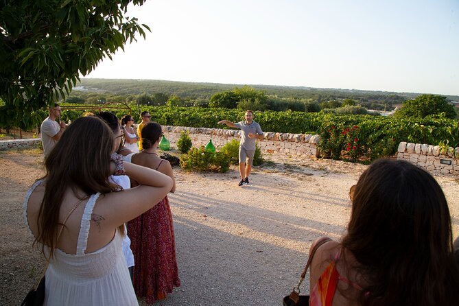 Wine Experience: vineyard, wines and food - Sunset, stone walls, and the social side