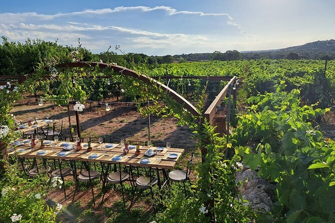 Wine Experience: vineyard, wines and food - What the two-hour schedule feels like