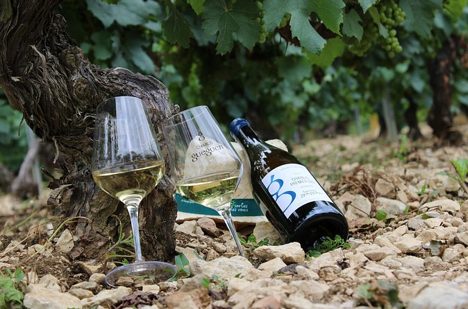 Wine Getaway with Tasting in the Chablis Vineyard - What the two-hour schedule does well