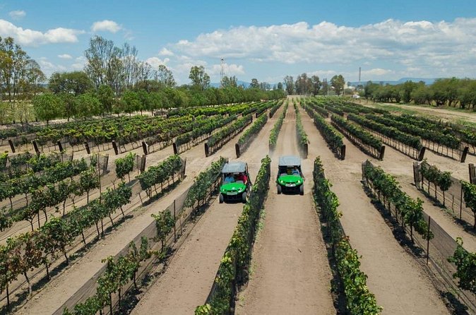 Wine Route in Tequisquiapan with Transportation - How much value do you get?