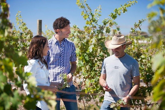 Wine Route tour starting from Querétaro - Tequisquiapan, a short look at a calm Magical Town