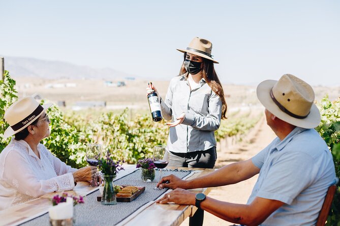 Wine Tasting Among Vineyards with Panoramic Views of the Valley - Key points to know before you go