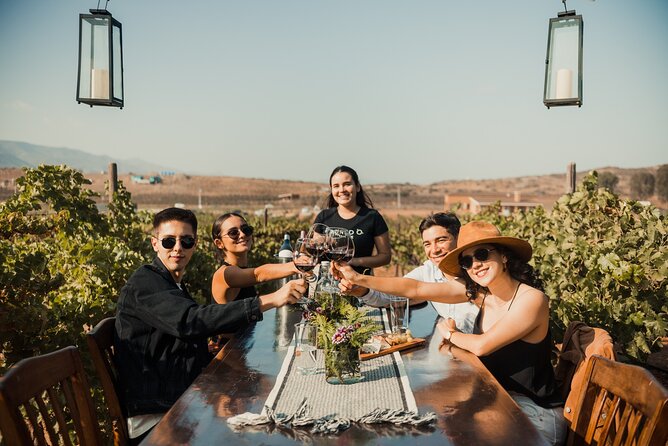 Wine Tasting Among Vineyards with Panoramic Views of the Valley - A vineyard visit built around terroir