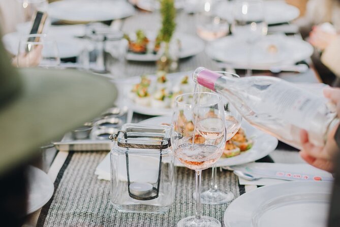 Wine Tasting Among Vineyards with Panoramic Views of the Valley - Is $65 a fair price?